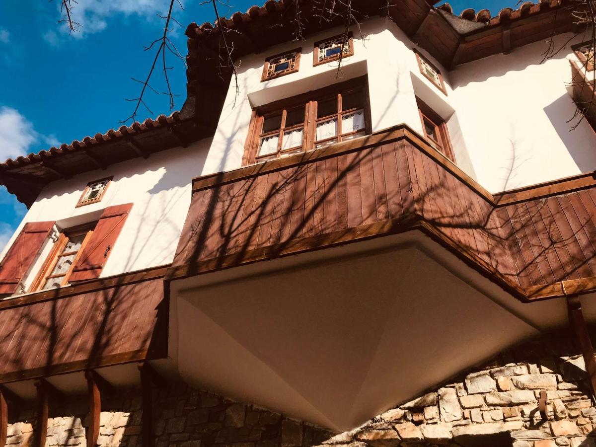 9Mouses Chasiotis Guest House Ampelakia Bagian luar foto