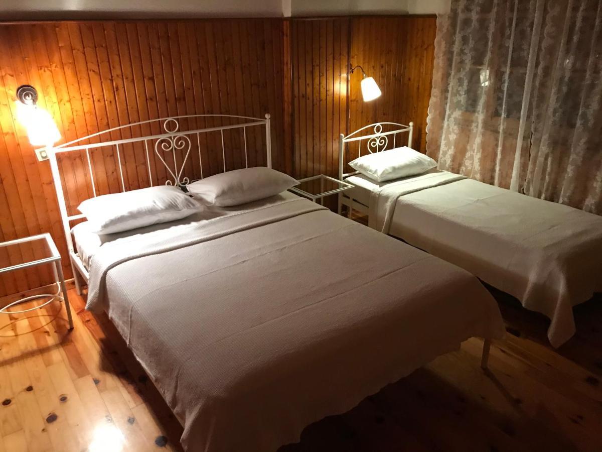 9Mouses Chasiotis Guest House Ampelakia Bagian luar foto