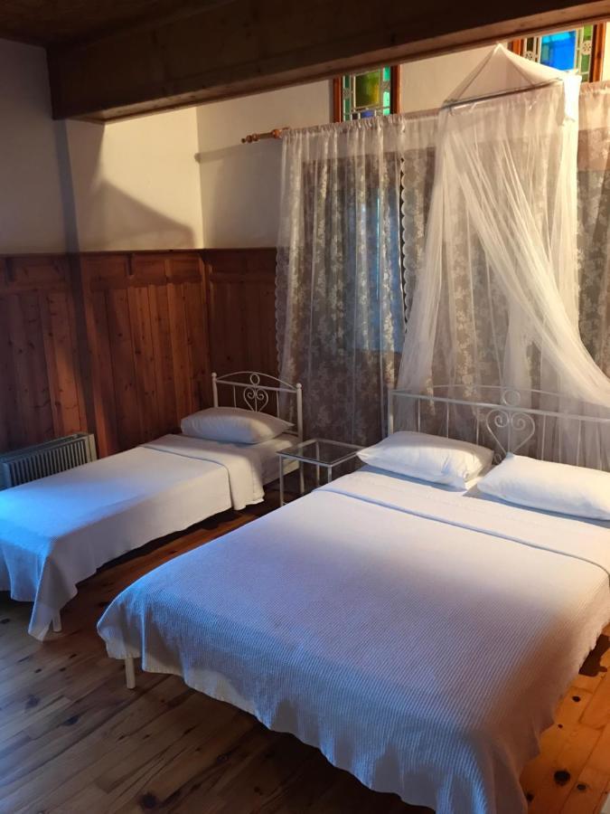 9Mouses Chasiotis Guest House Ampelakia Bagian luar foto