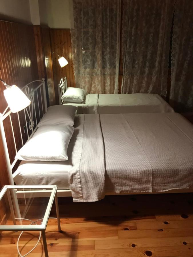 9Mouses Chasiotis Guest House Ampelakia Bagian luar foto