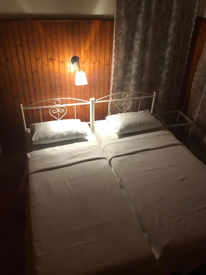 9Mouses Chasiotis Guest House Ampelakia Bagian luar foto