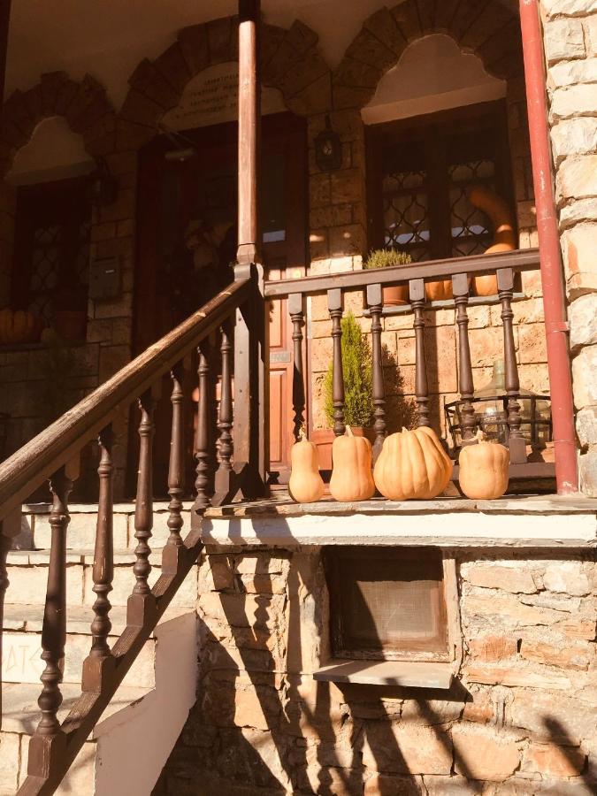 9Mouses Chasiotis Guest House Ampelakia Bagian luar foto