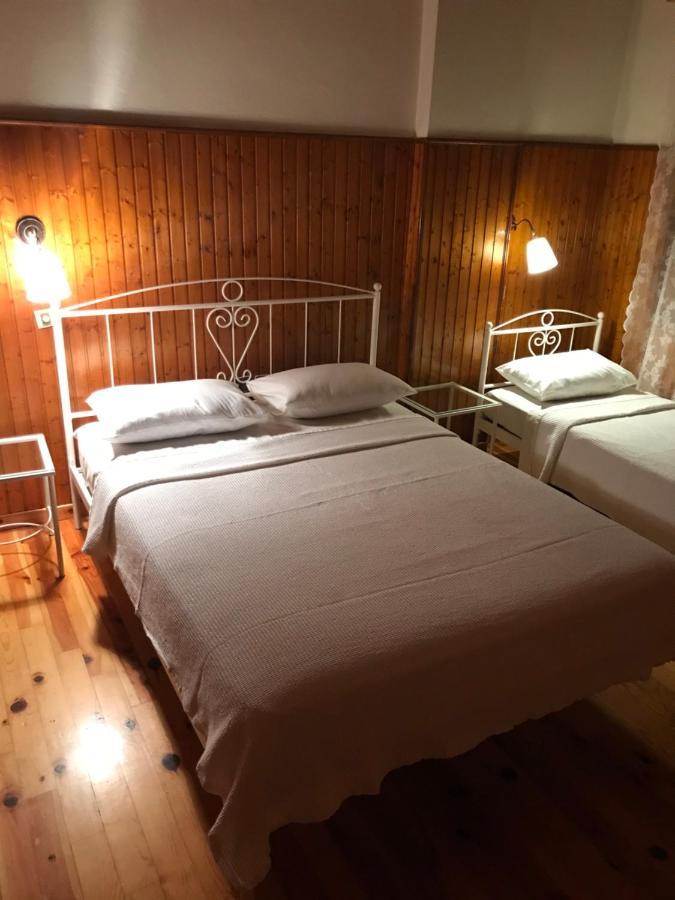 9Mouses Chasiotis Guest House Ampelakia Bagian luar foto