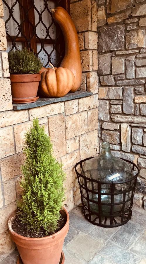 9Mouses Chasiotis Guest House Ampelakia Bagian luar foto