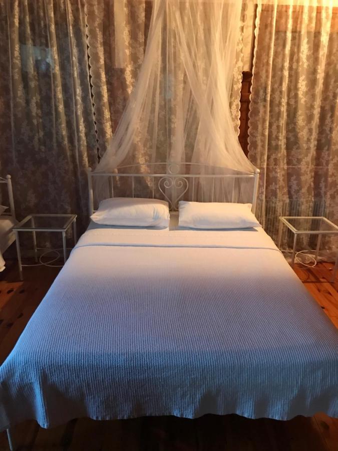 9Mouses Chasiotis Guest House Ampelakia Bagian luar foto