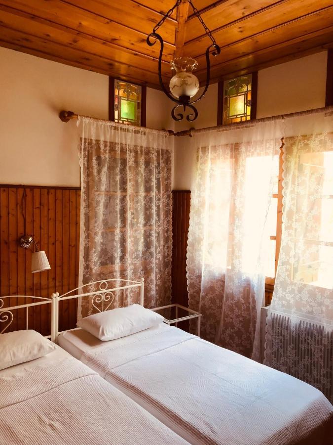 9Mouses Chasiotis Guest House Ampelakia Bagian luar foto