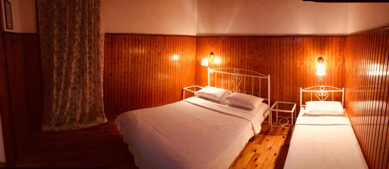 9Mouses Chasiotis Guest House Ampelakia Bagian luar foto