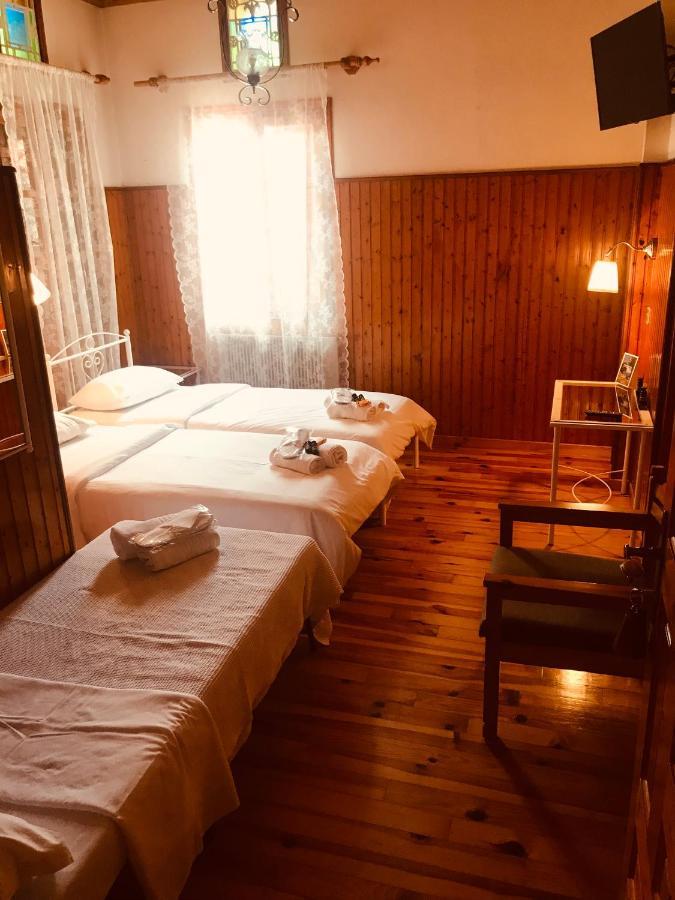 9Mouses Chasiotis Guest House Ampelakia Bagian luar foto