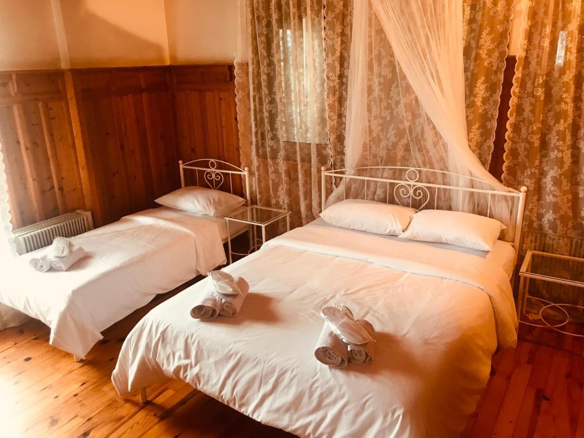 9Mouses Chasiotis Guest House Ampelakia Bagian luar foto