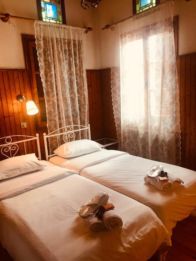 9Mouses Chasiotis Guest House Ampelakia Bagian luar foto