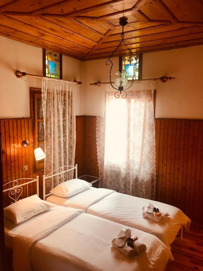 9Mouses Chasiotis Guest House Ampelakia Bagian luar foto