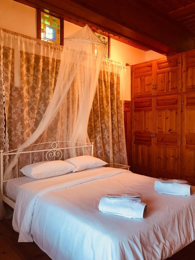 9Mouses Chasiotis Guest House Ampelakia Bagian luar foto
