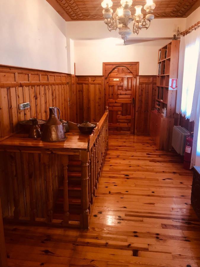 9Mouses Chasiotis Guest House Ampelakia Bagian luar foto