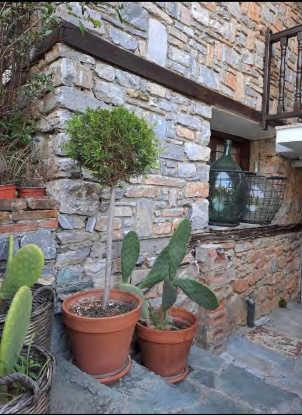 9Mouses Chasiotis Guest House Ampelakia Bagian luar foto