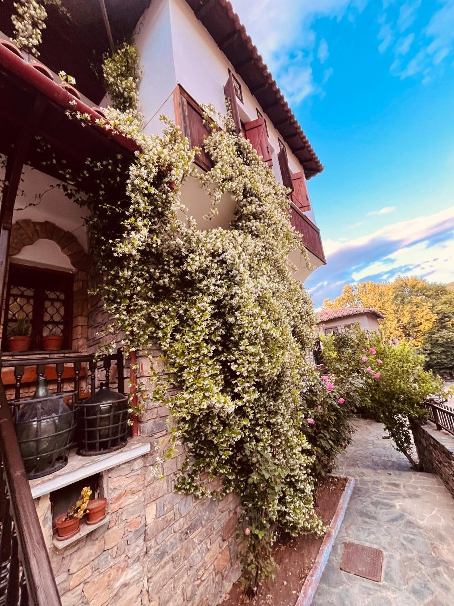 9Mouses Chasiotis Guest House Ampelakia Bagian luar foto